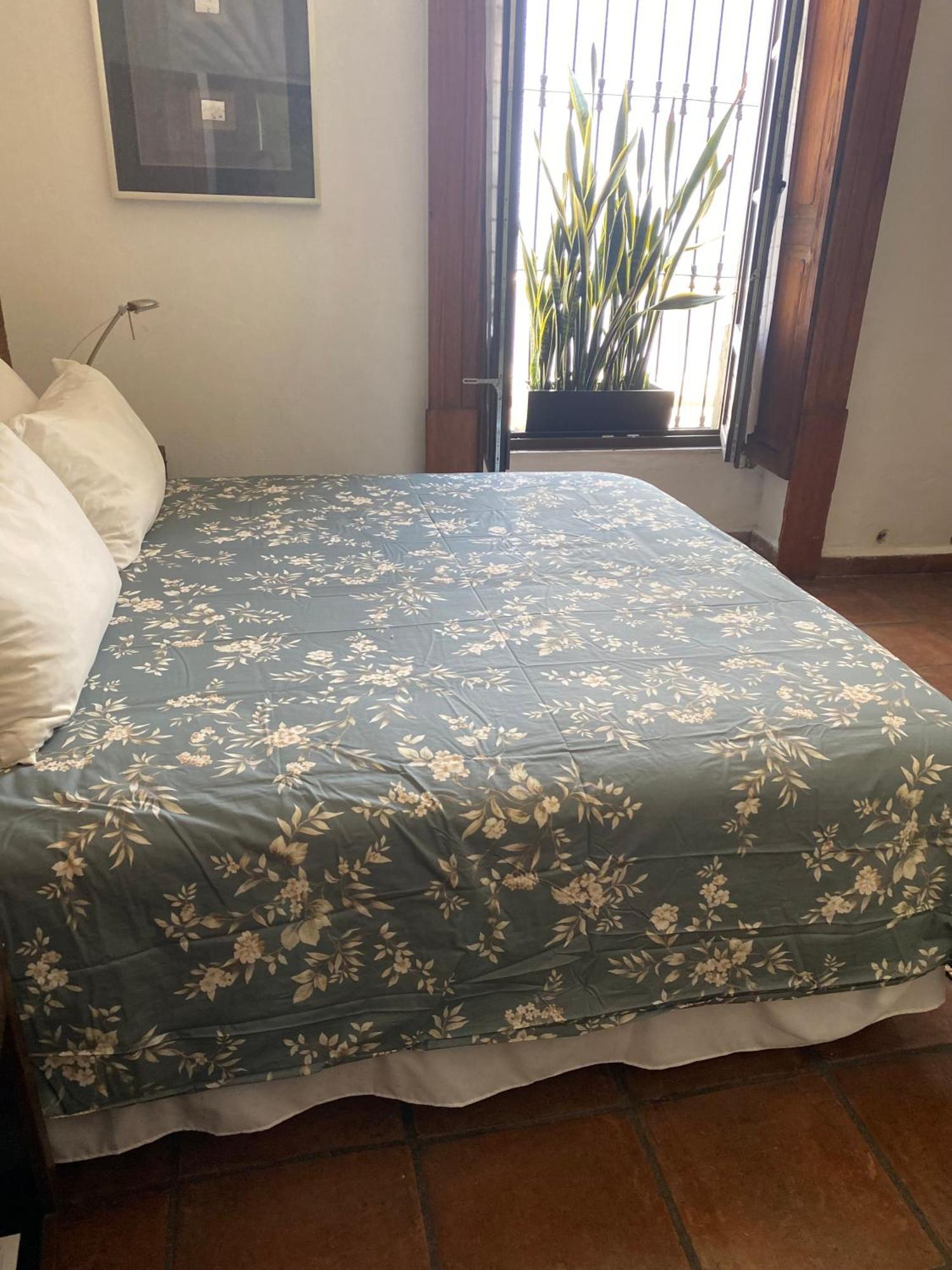 Casa Aspeytia Hotel Boutique Querétaro Eksteriør billede